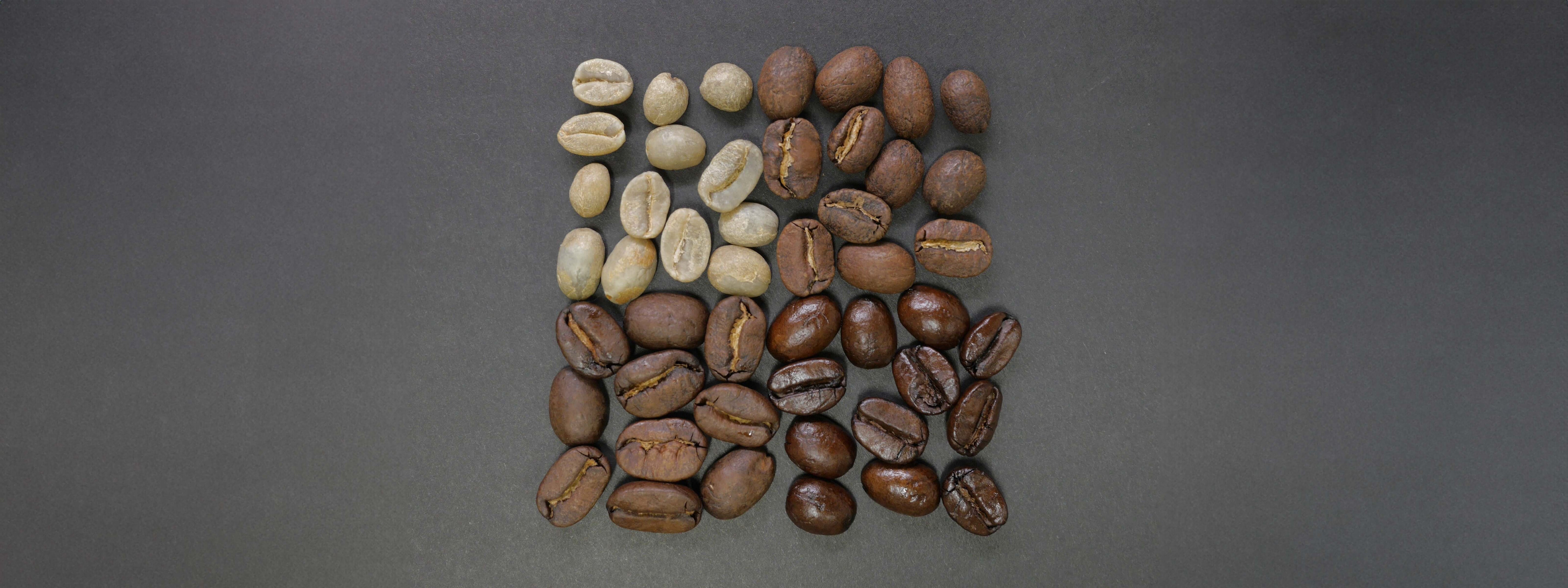 square layout of coffee beans of four roast levels arranged in a grid.