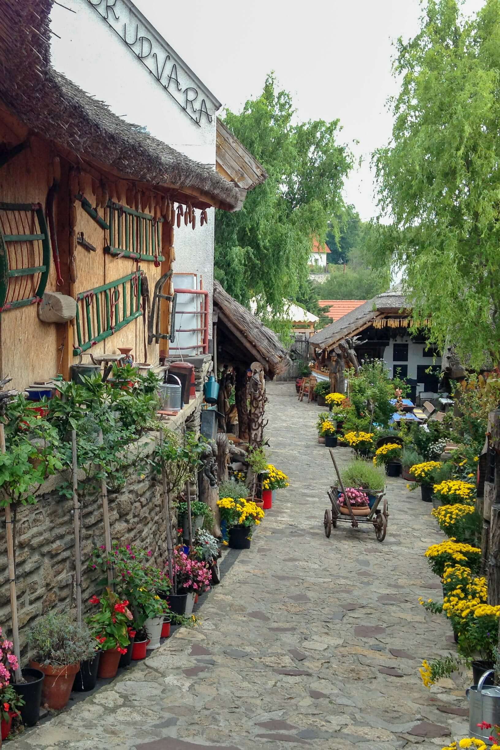 stone paved village path bordered by buildings and many flowers.