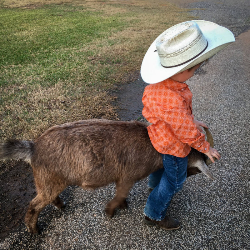Child in an orange shirt and cowboy hat playing with a small goat on a paved path.