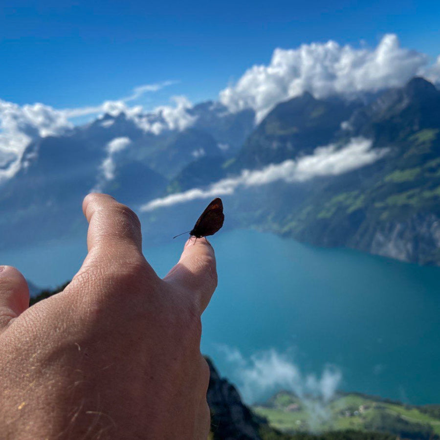 Butterfly on a person's finger with a mountainous landscape in the background.
